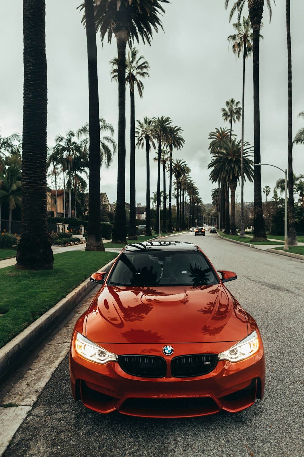 Car Rental Management System